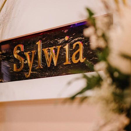Hotel Sylwia Сосніцовіце Екстер'єр фото